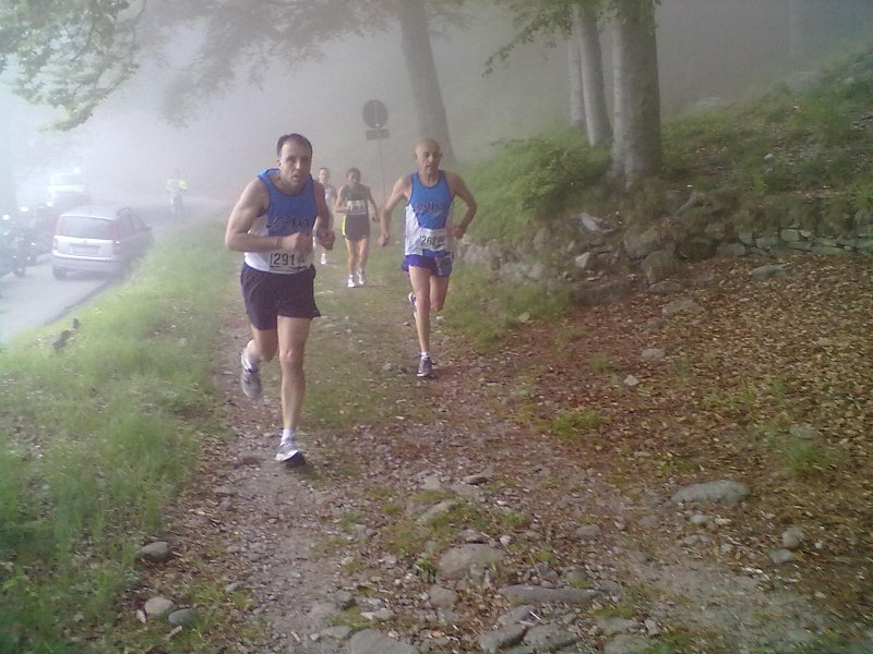 graglioropa262012 520.jpg